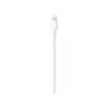 Apple USB-C to Lightning Cable (1M), view 2